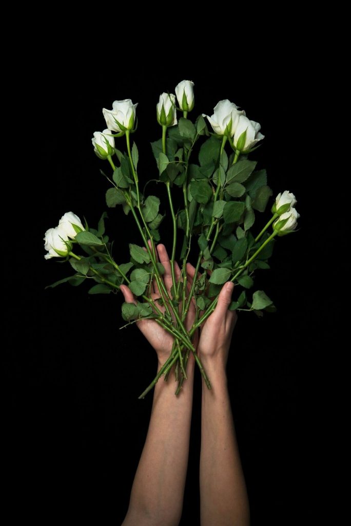 Two hands holding a bunch of long stemmed white roses on a black background.